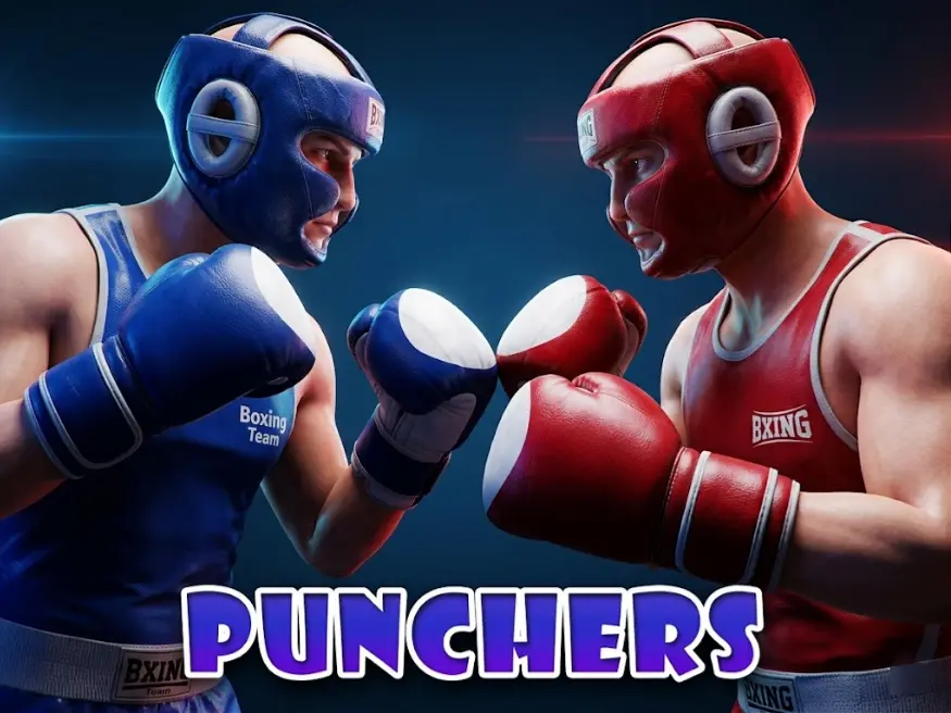 Punchers cover art